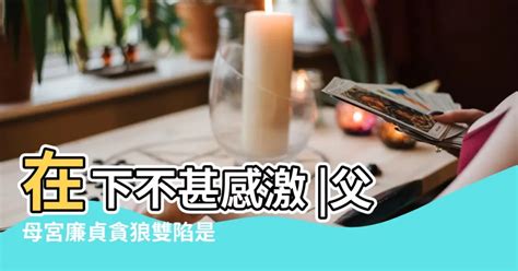 貪狼壺|貪狼壺是什麼意思